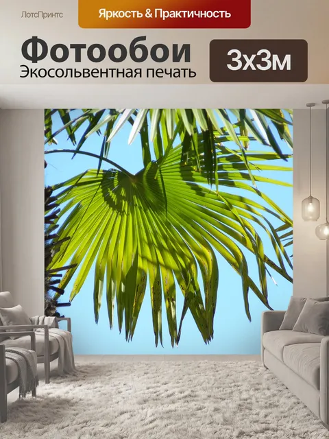 Фотообои Пальма