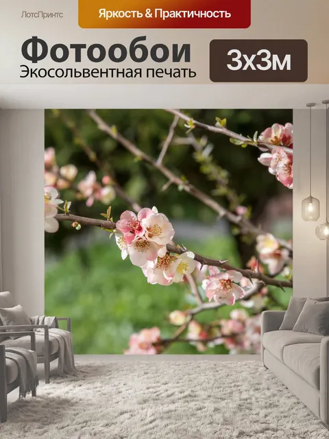 Фотообои Роза