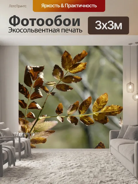 Фотообои Листья