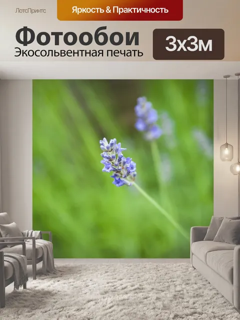 Фотообои Зеленый