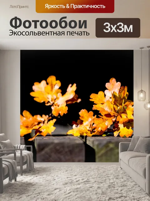 Фотообои Листья