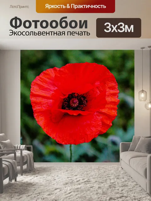 Фотообои Мака