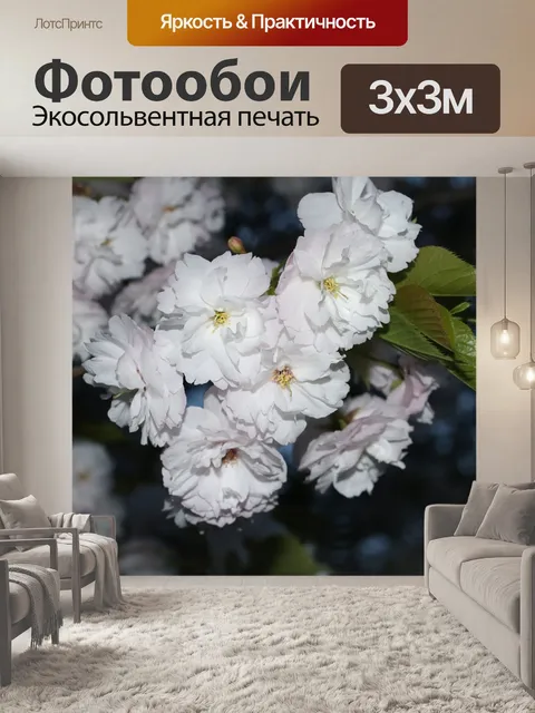 Фотообои Вишни в цвету