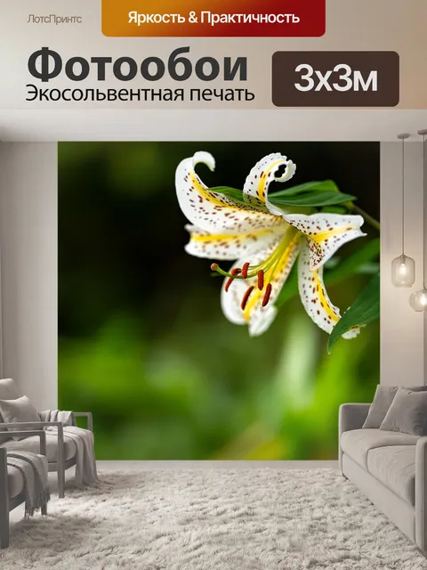 Фотообои Цветы