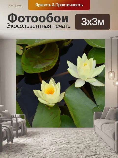 Фотообои Цветы