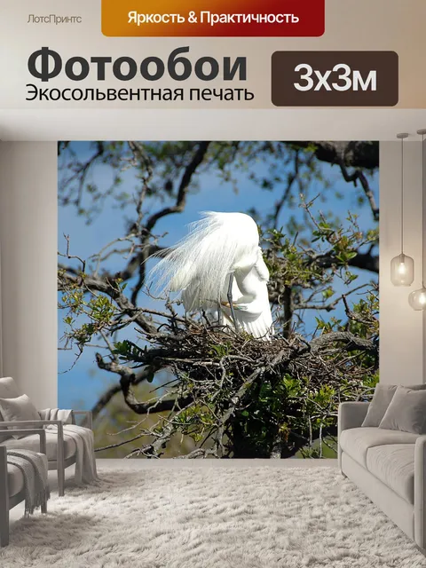 Фотообои Большая белая цапля