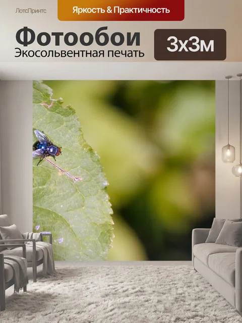 Фотообои Летать