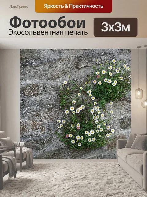 Фотообои Ромашки на стене