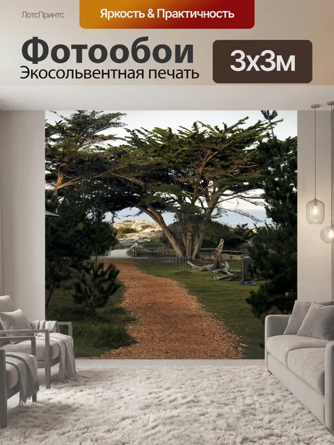 Фотообои Путь до пляжа