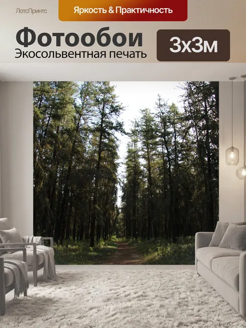 Фотообои Путь в сосновом лесу