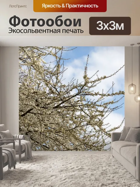 Фотообои Цветы на ветке