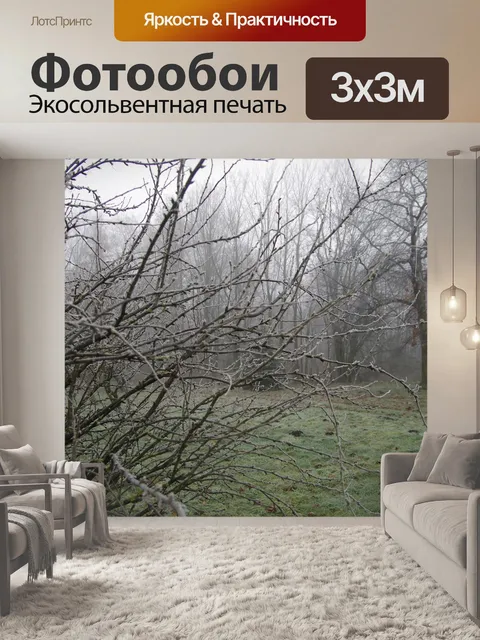Фотообои Осень