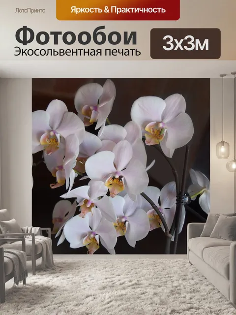 Фотообои Орхидеи