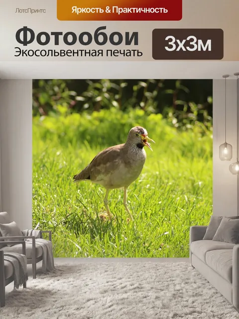 Фотообои Птица