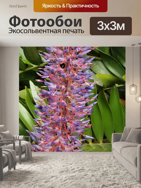 Фотообои Цветет бромелиевые