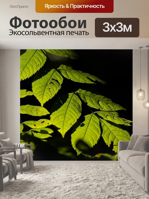 Фотообои Листья