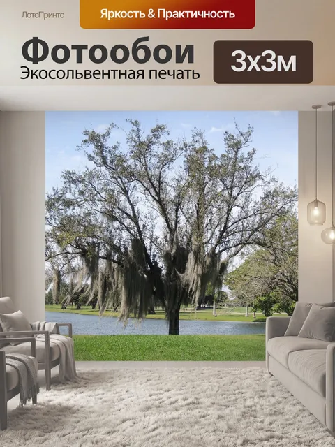 Фотообои Деревья