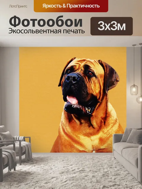 Фотообои Собака дю Бордо Акварели