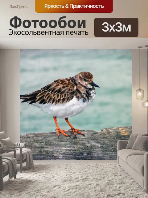 Фотообои Птица