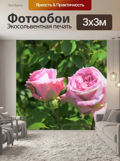 Фотообои Розы