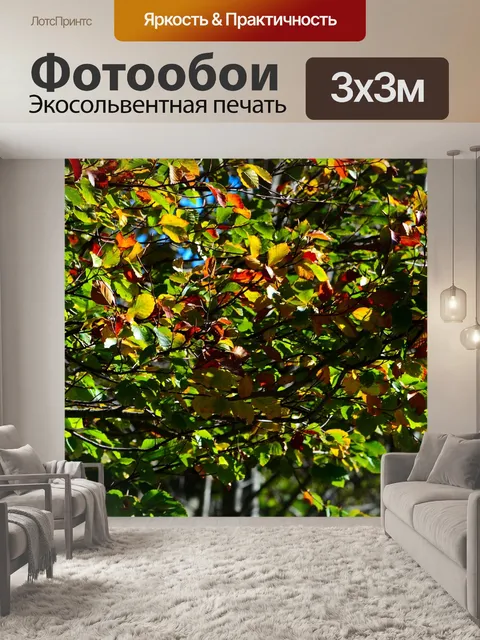 Фотообои Листья