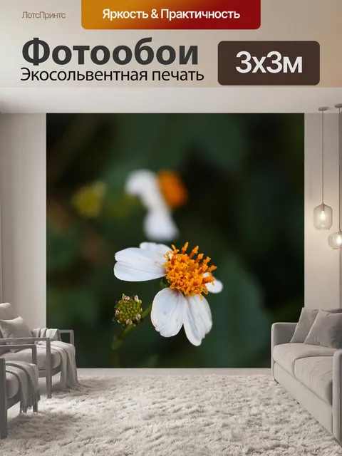 Фотообои Цветы