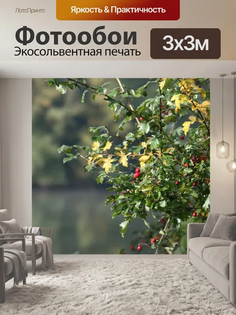 Фотообои Кустарник