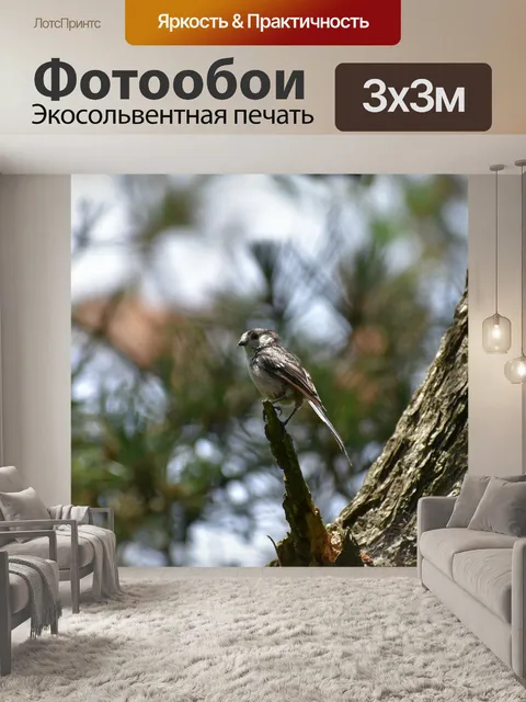 Фотообои Животное