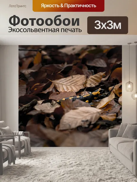 Фотообои Лес