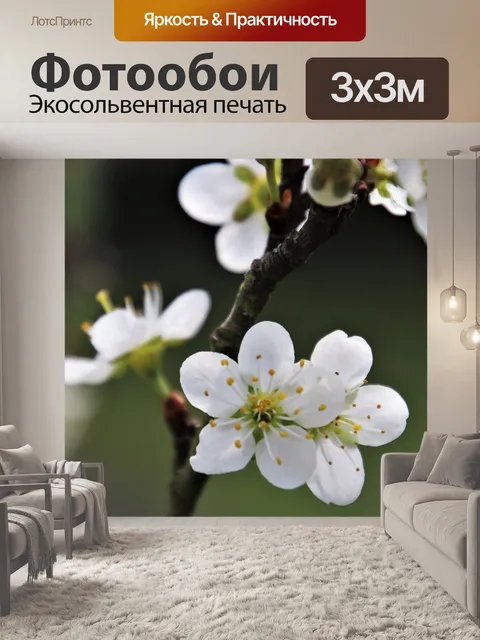 Фотообои Цветы