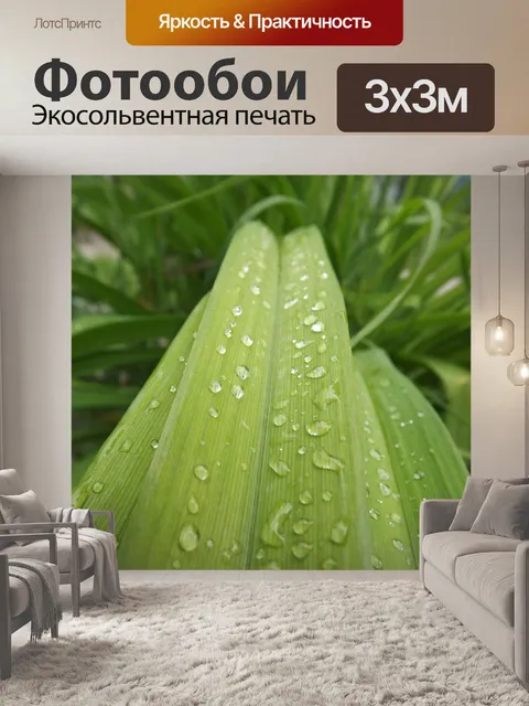 Фотообои Росы