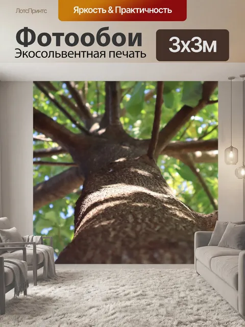 Фотообои Дерево