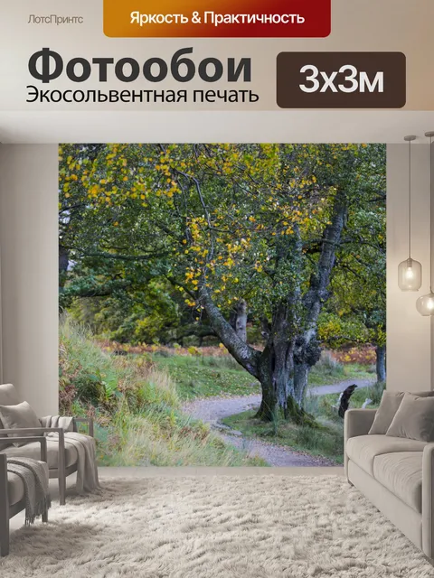 Фотообои лес