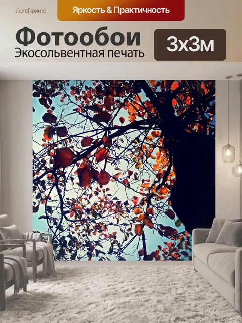 Фотообои Пекин