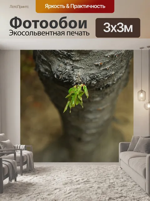 Фотообои Природа