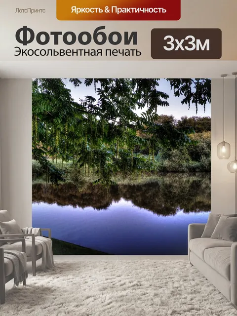 Фотообои Лес