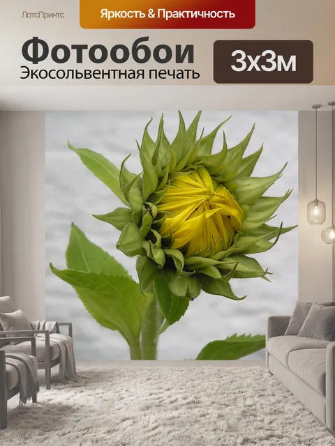Фотообои Сад