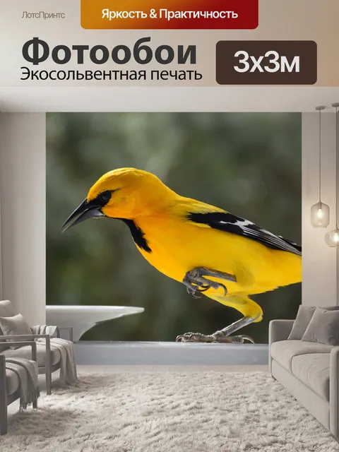 Фотообои Птицы