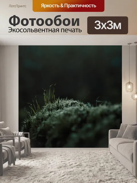 Фотообои Мох
