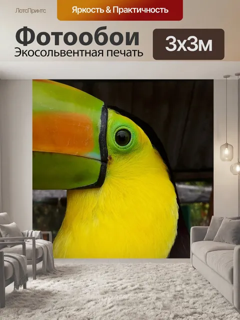 Фотообои Птица