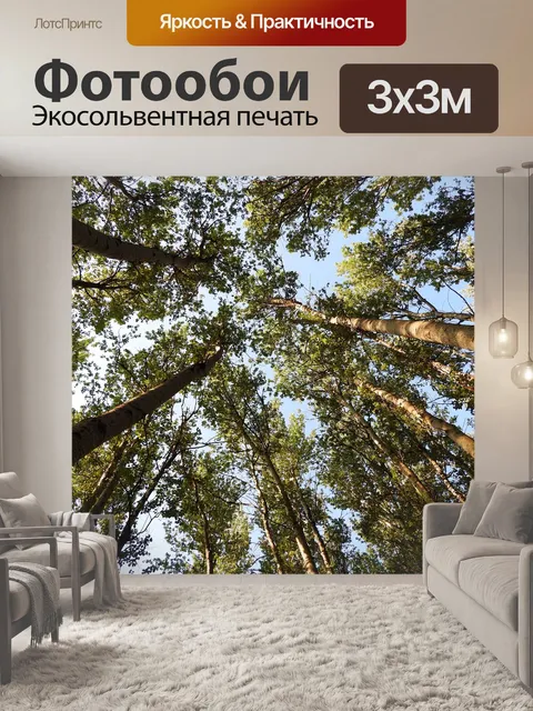 Фотообои Деревья