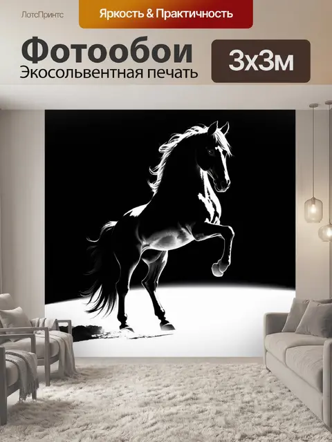 Фотообои Силуэт лошади, стоящей на задних ногах, на фоне сильного контраста света и тени