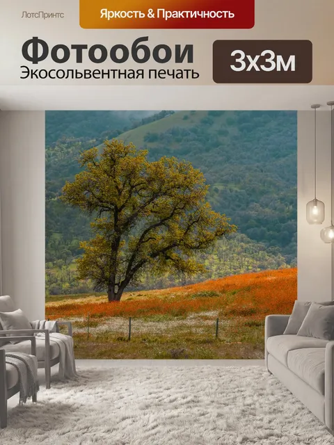 Фотообои Осенний холм