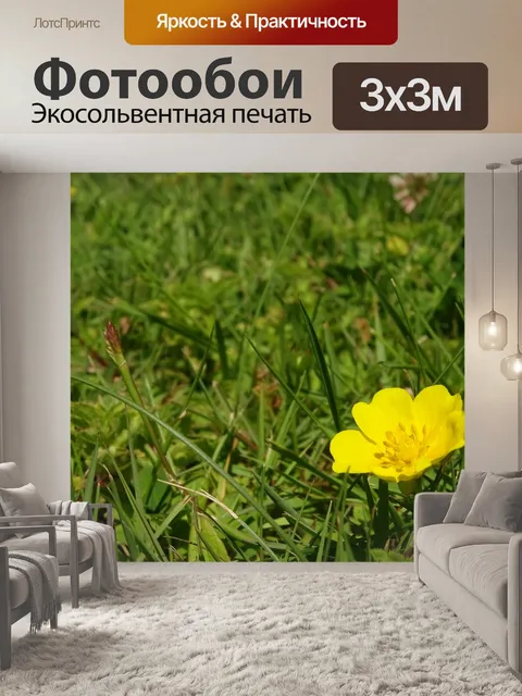 Фотообои Золотая кнопка