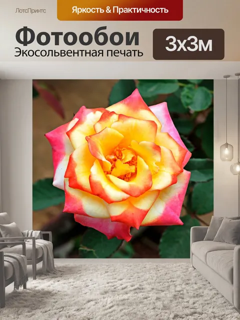Фотообои Роза
