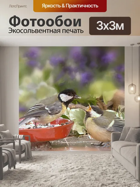 Фотообои Животное
