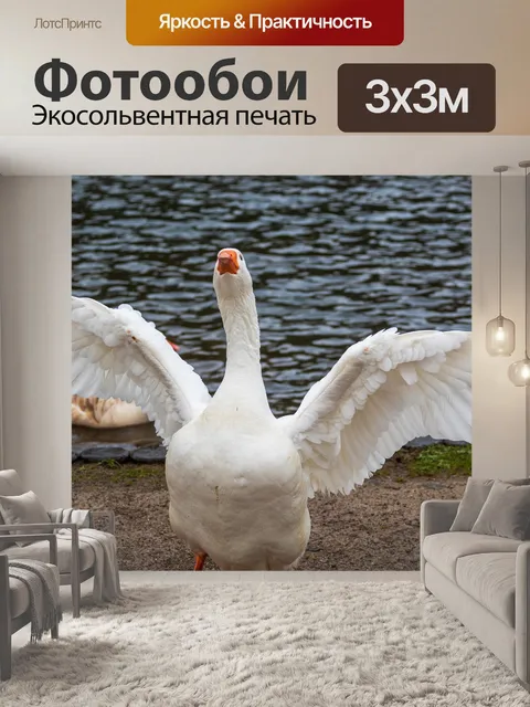 Фотообои Гусь