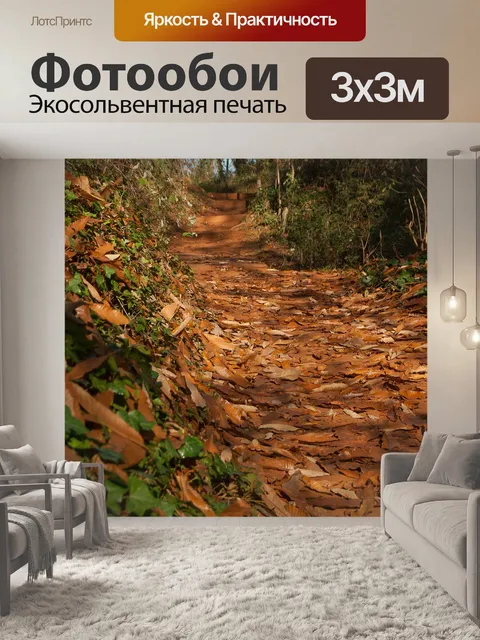 Фотообои Лес