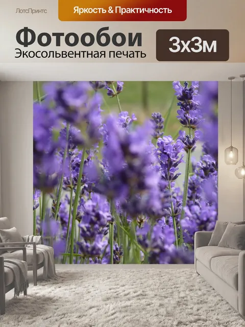 Фотообои Лаванда
