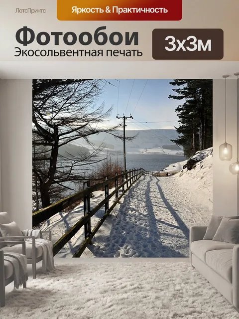 Фотообои Лесная тропа
